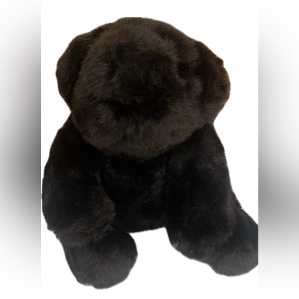 Pottery Barn Kids Plush Brown Andrew Bear - Picture 3 of 7